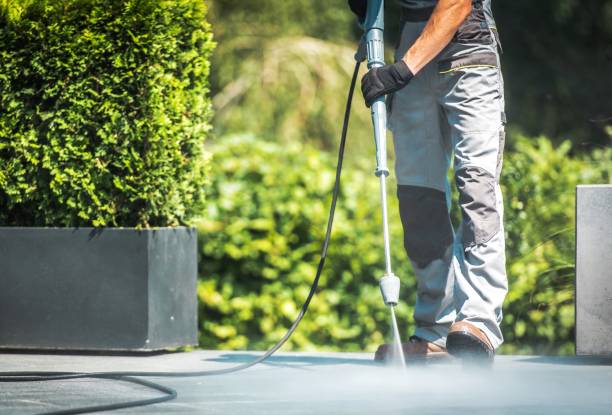 Best Vinyl Siding Pressure Washing in Holly Lake Ranch, TX